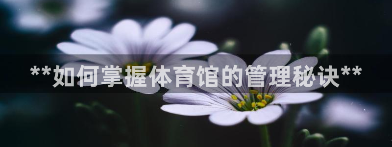 必一运动 b 体育素描版