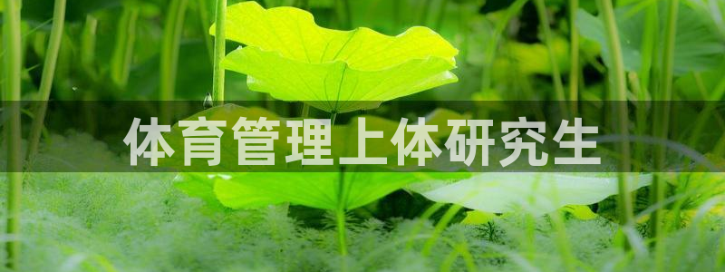 必一体育网页