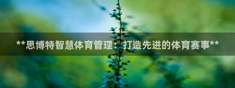 必一体育官方入口：*
