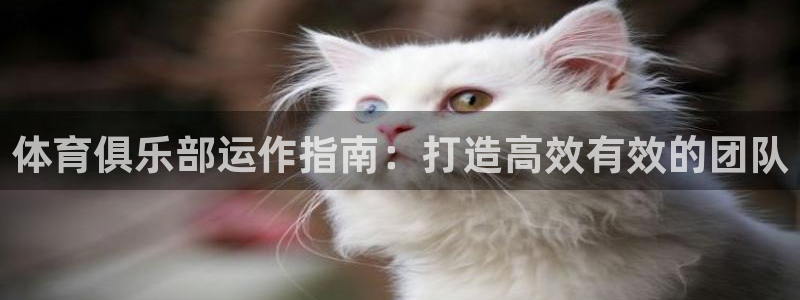 必一体育皮尔斯：体育