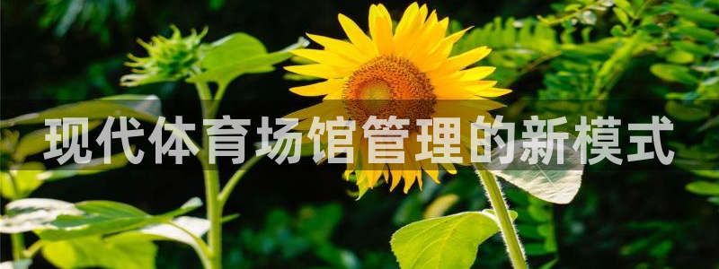 必一体育验证码