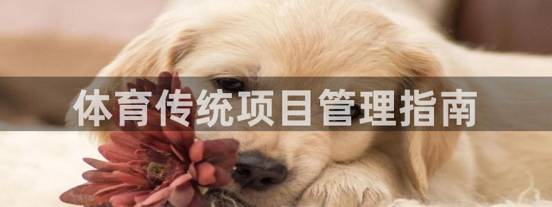 必十二和必一的副作用