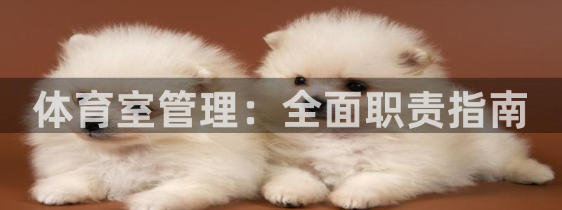 必一体育sport官
