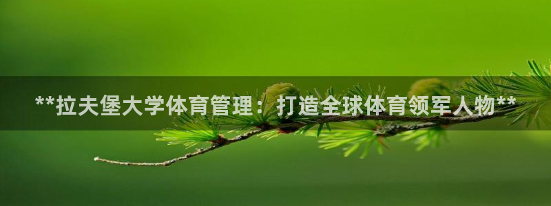 必一体育APP：**