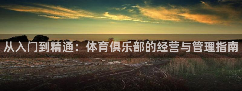 Bsport体育必一