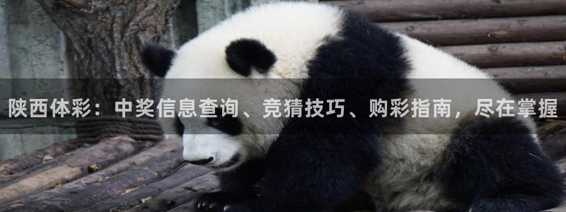 必一运动tieba.baidu.com