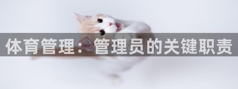 必一体育官方下载