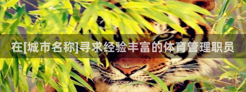 必一体育旧版：在[城