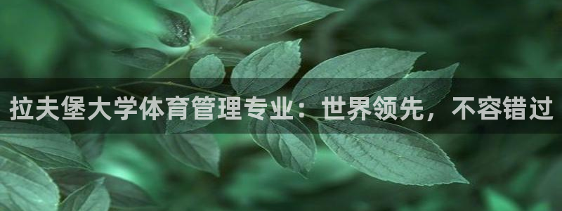 必一运动 b 体育素