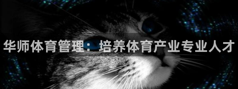 必一体育手机下载：华