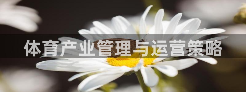 必一运动体