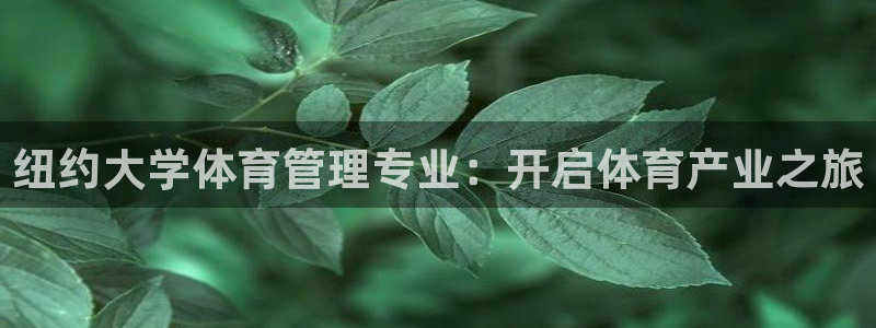 必一运动体