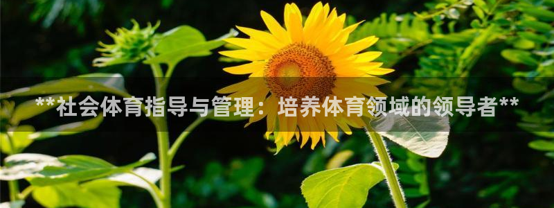 必一体育最新官网入口