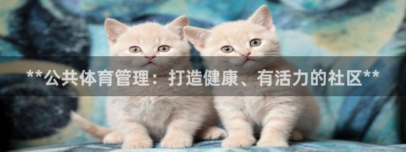 b体育必一下载：**公共体育管理：打造健康、有活力的社区**