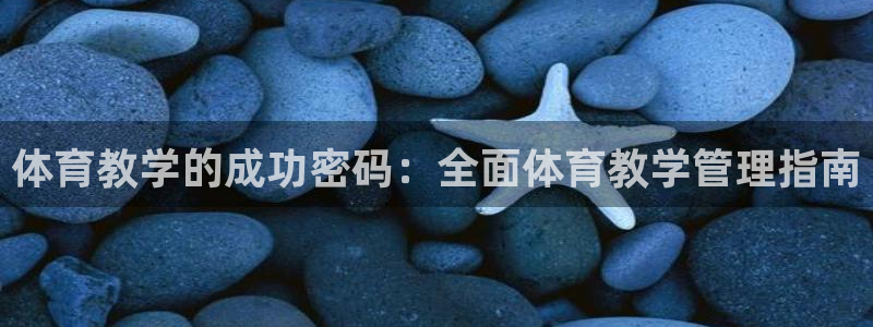 b体育必一运动网页版在线登录入口
