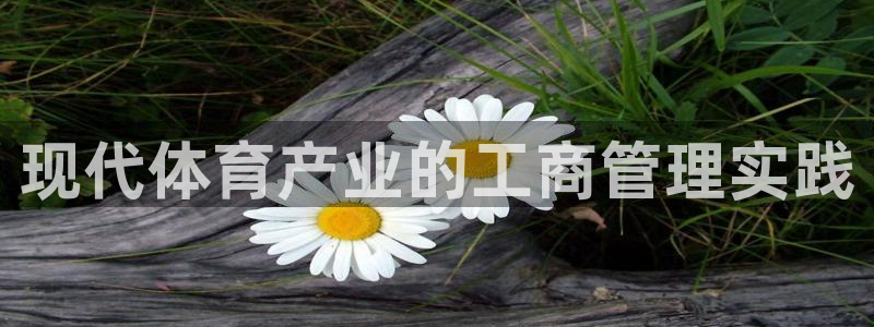 必一体育下载入口