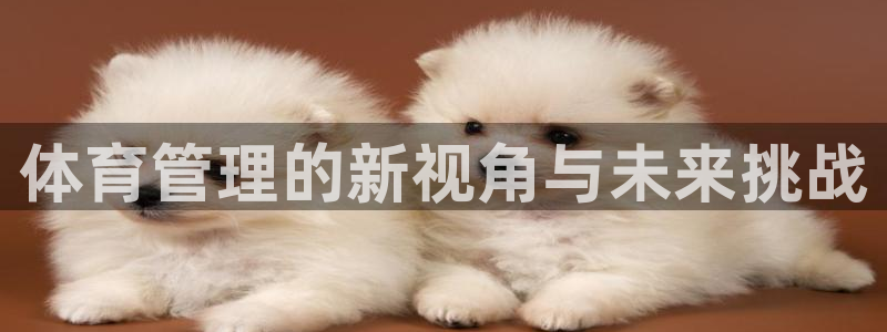 必一体育下载移动版：