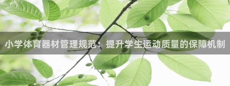 必一体育网址：小学体