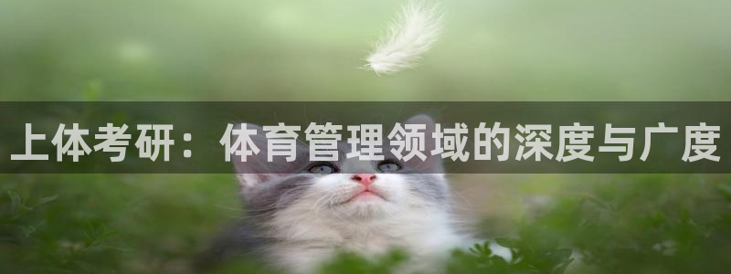 必一运动体育官网：上
