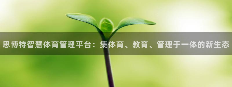 必一体育游戏玩法：思