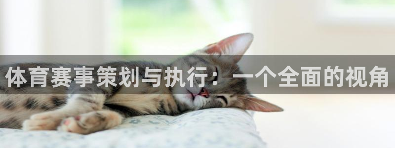 必一体育网页登录版官