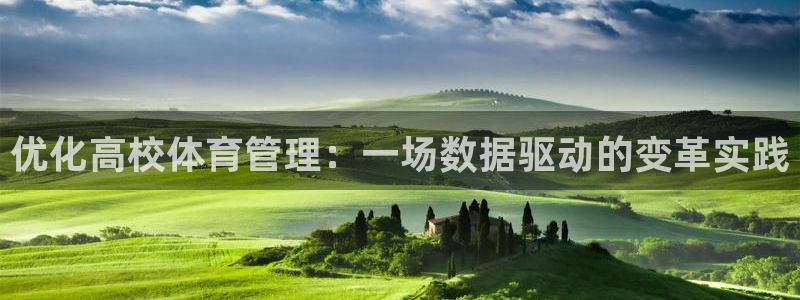 必一体育可靠吗：优化