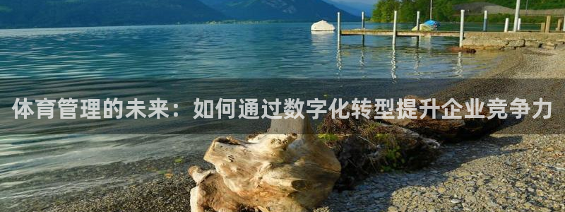 必一体育app官方：