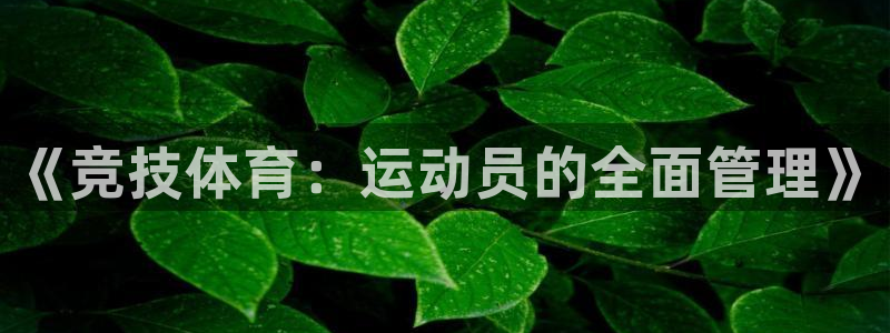 必一体育合法吗：《竞技体育：运动员的全面管理》