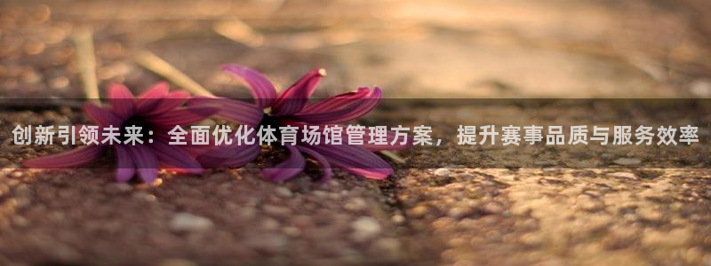 必一体育app下载安装：创新引领未来：全面优化体育场馆管理方