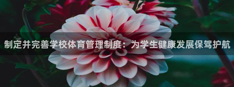 必一运动体育：制定并