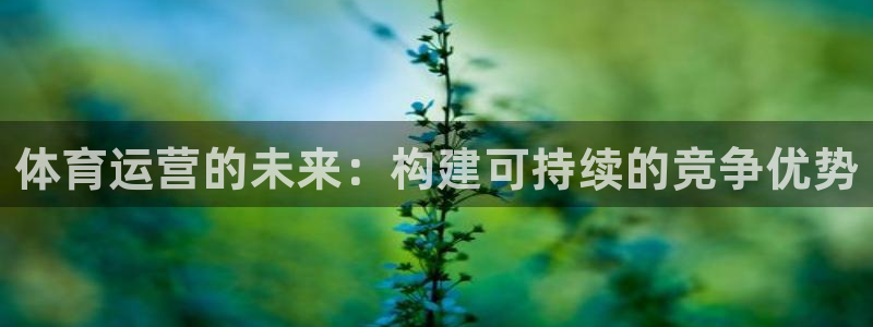 必一体育能提现大金额吗：体育运营的未来：构建可持续的竞争优势