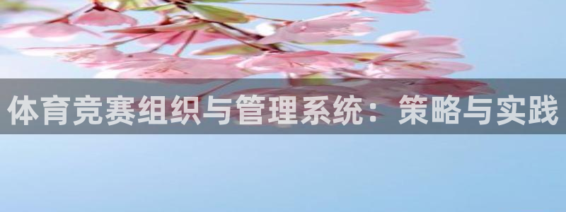 必一体育在线入口：体