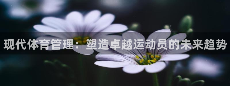 必一体育下载移动版：