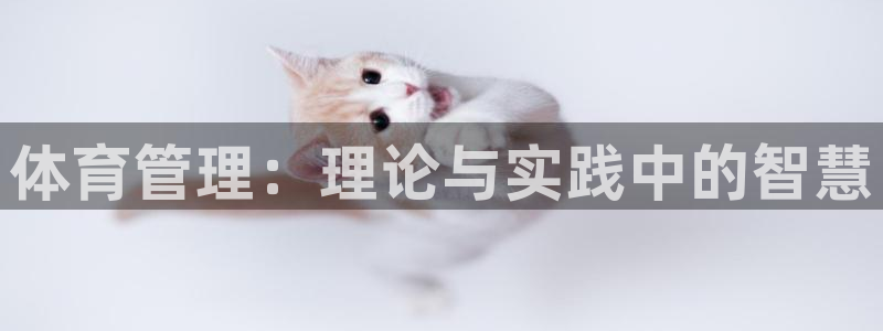 必一体育下载app：