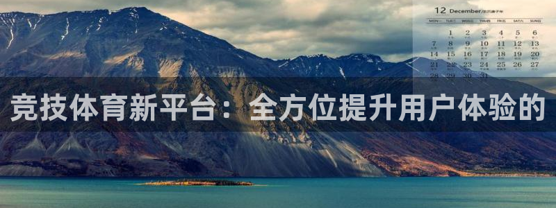 必一体育网页登录版官