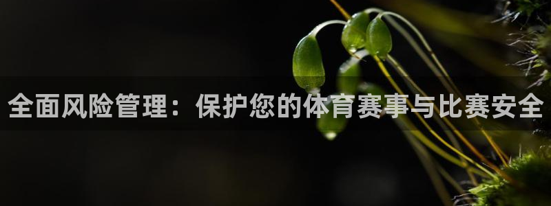 必一体育app下载装
