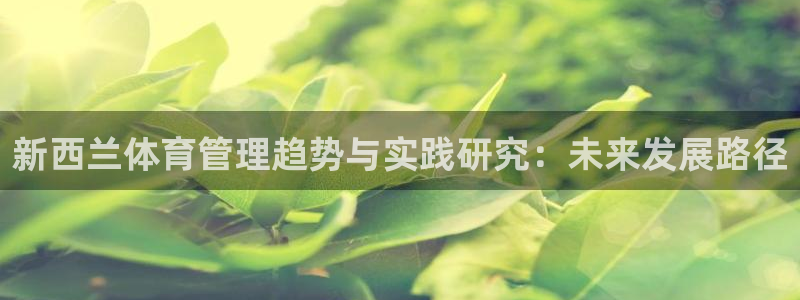 必一体育app下载：