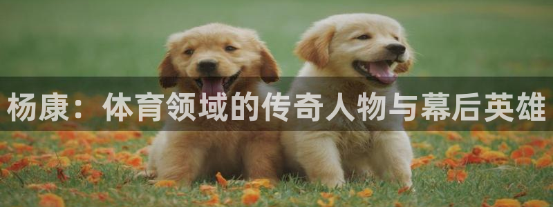 必一运动sport爱