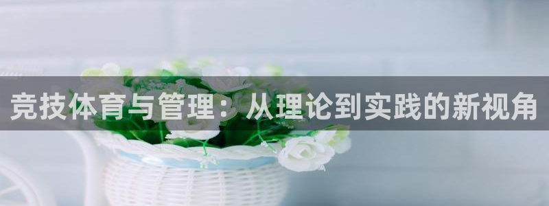 Bsport体育必一
