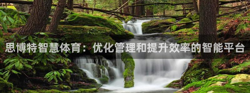 必一体育app平台下
