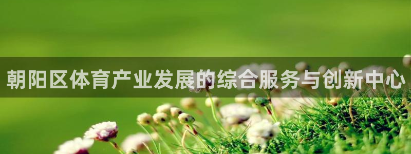 必一体育流水线是什么
