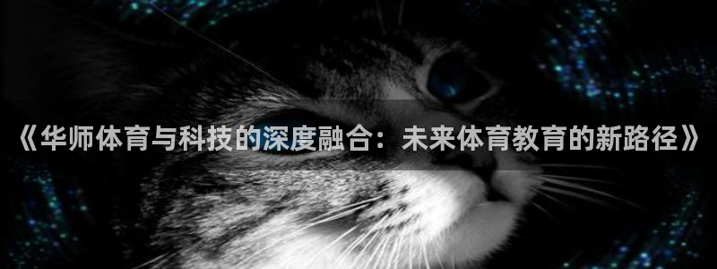 必一体育手机下载：《