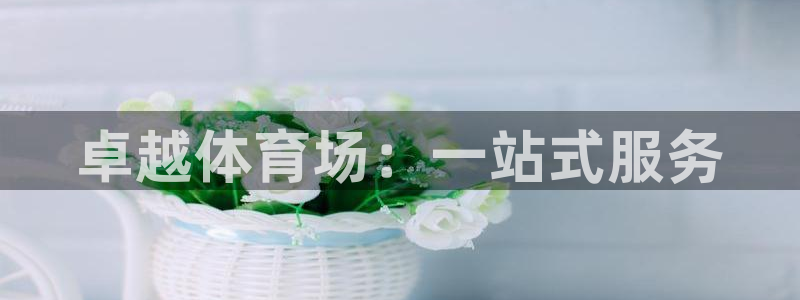 必一运动体：卓越体育