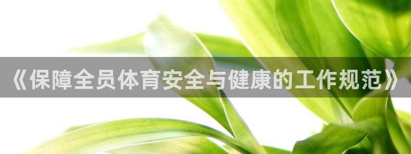 必一体育app平台下