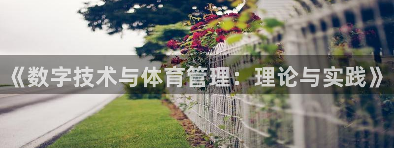 必一体育官方网站入口