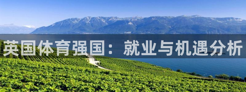 必一体育官方入口：英