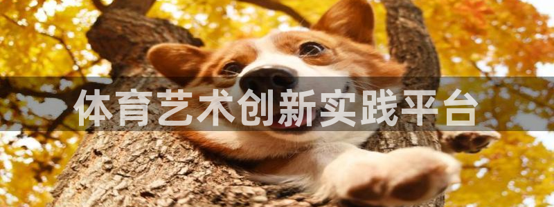 必一体育app官方网