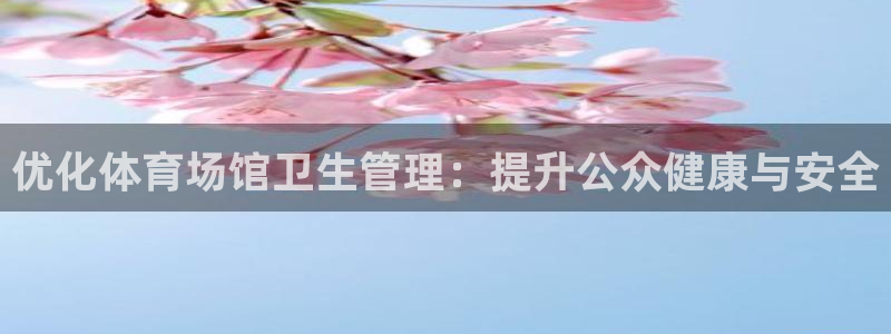 必一体育网页：优化体