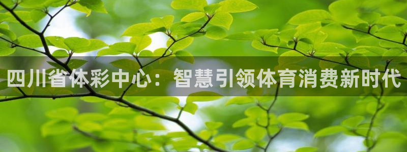 必一体育是啥：四川省