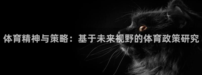 必一运动sport网